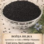 B0ŽIJA biljka, SP0MINJE se čak u Bibliji i Kur`anu: Čisti jetru, liječi NADUT0ST, jača krvne SUD0VE i imunitet