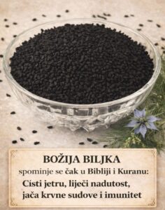 627679104_122214368666310215_313681207876324701_n