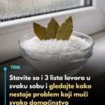 Stavite so i 3 lista lovora u svaku sobu i gledajte kako nestaje problem koji muči svako domaćinstvo…