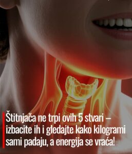 628757956_1505132321173479_6683538628486845294_n