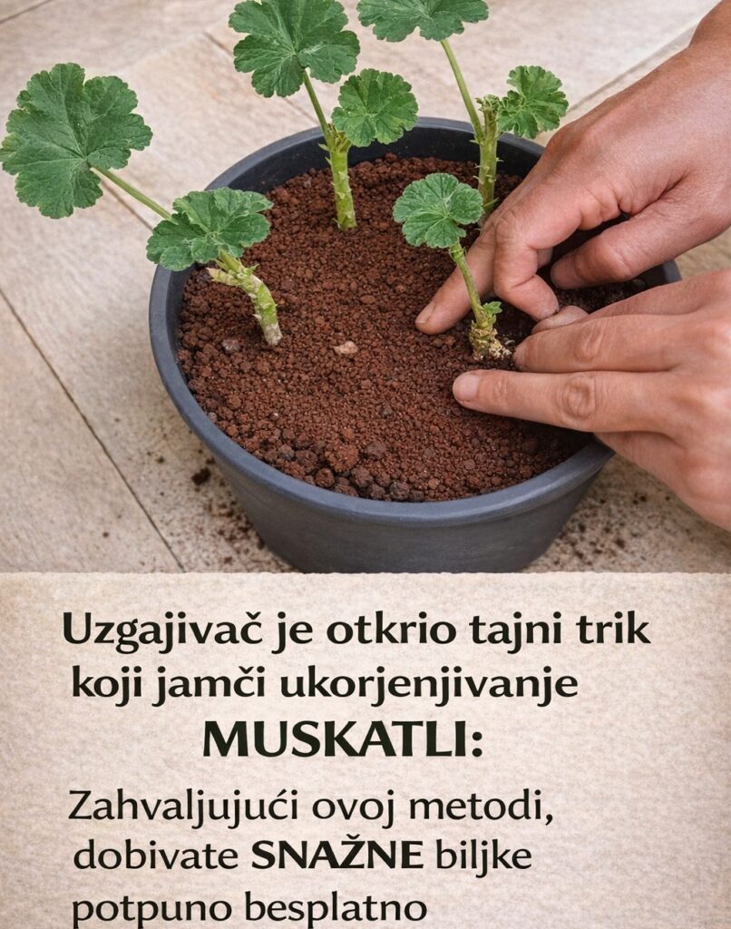 629220937_1309861261175041_5618220059415477379_n