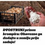 DV0STRUKI Prinos Krompira:0bavezno Ga Dodajte U Zemlju Prije Sadnje❗
