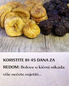 629911649_122181611366435682_8886521921277235588_n