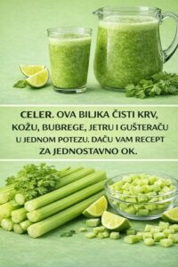 631643333_1225285296392655_3993895604008530367_n