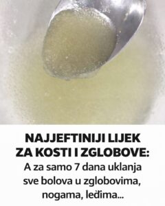 631655808_122171653070751856_8110152735364190783_n