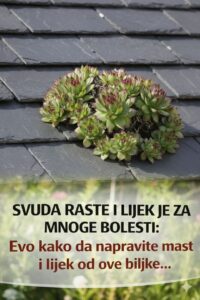 634100850_122163168416694359_3591465635944347071_n