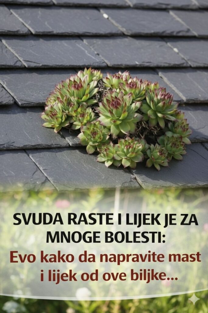 634100850_122163168416694359_3591465635944347071_n