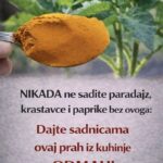 1 KAŠIKA zamjenjuje tonu stajnjaka: Posipam njome cijelu baštu, onda samo imam vremena da uberem toliko!