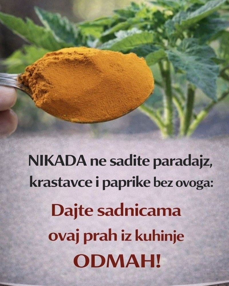 634431899_122181827684435682_2303906506673615867_n