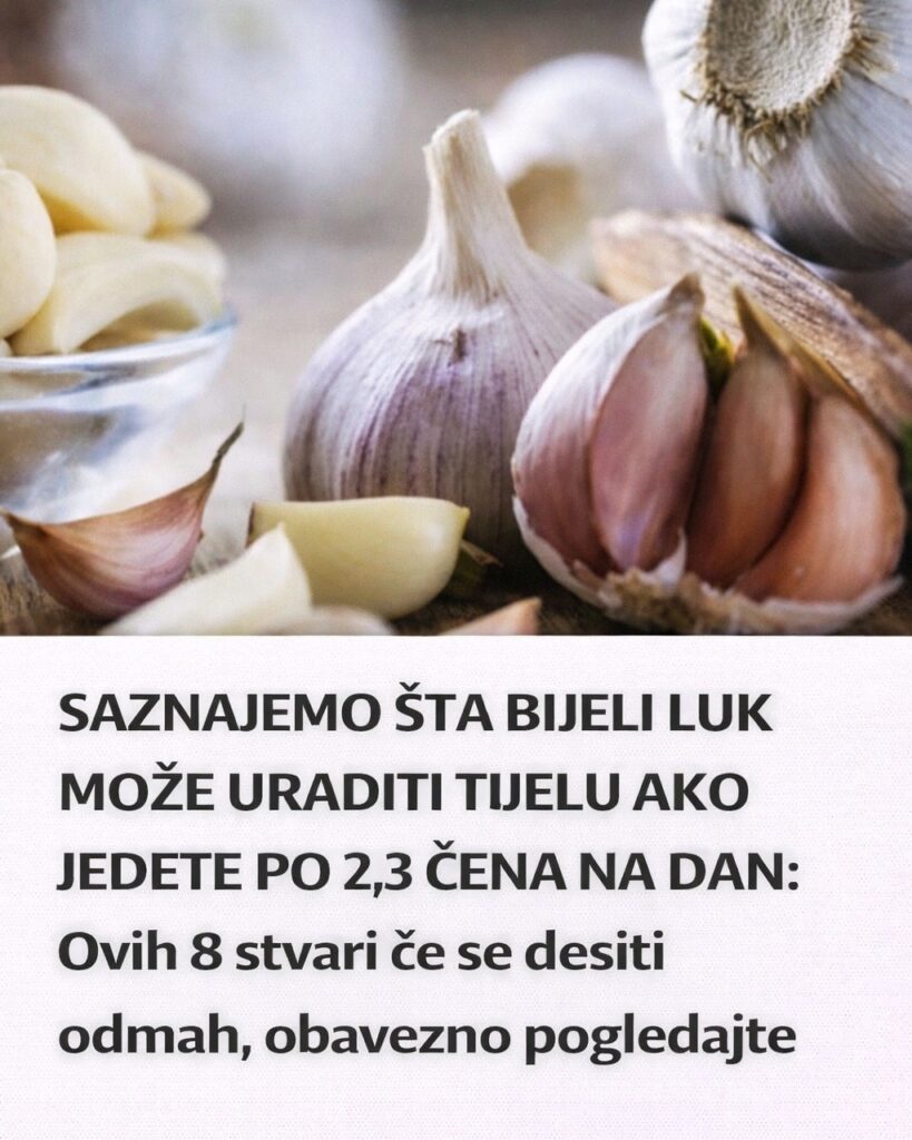 635175356_848403664900291_5779613701012873472_n