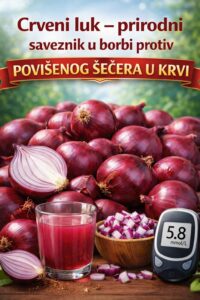 638186381_1506895940997117_7009495680168996692_n