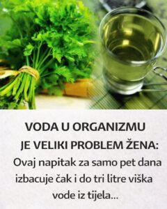 640154625_122193830108622820_1079665644562935509_n