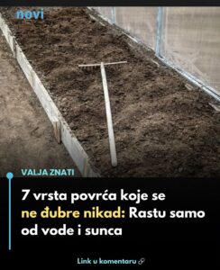 641262226_1507258110966847_4667223720192136247_n