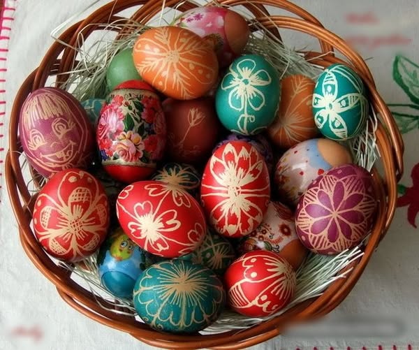 489850664_1246257357060978_6909216466340882089_n