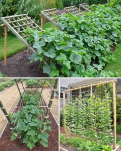 505585996_10227627988395486_3677919855091723119_n