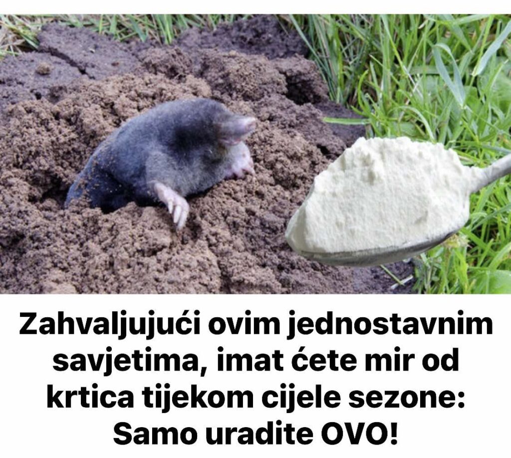 516744540_10228322710003092_4245791813461906931_n