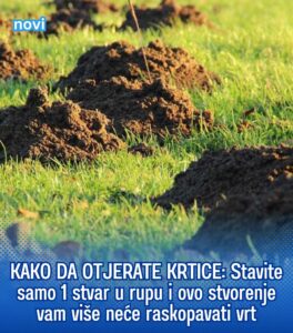 517054324_10228347111573116_8753469670576156775_n