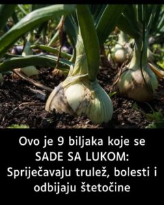 518212024_10228338226430993_4090869819763406008_n