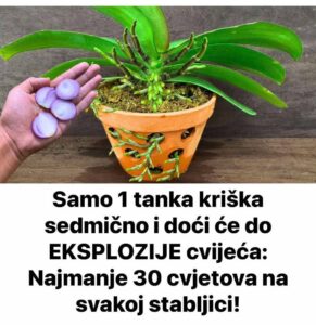 518317846_10228343035351213_7380800762787697689_n