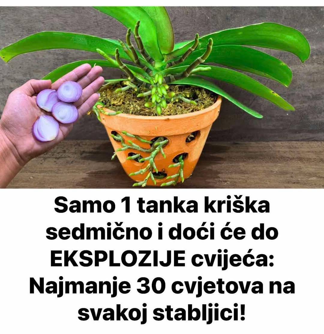 518317846_10228343035351213_7380800762787697689_n