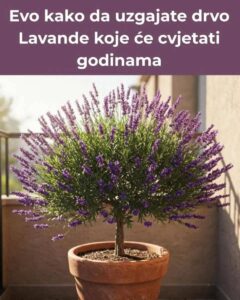 536267438_10228770031985862_7325700359058115138_n