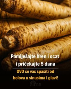 560930459_10229249586014413_2559149498419187431_n