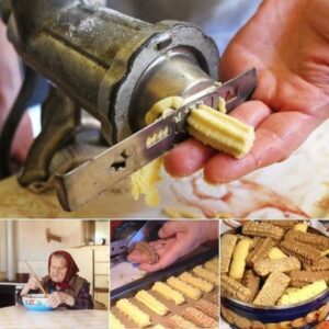 571018299_1273237594840433_8083520916186290684_n