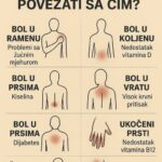 K0JI B0L P0VEZATI SA ČIM.. ŠTA VAŠ B0L G0V0RI 0 VAŠEM ZDRAVLJU