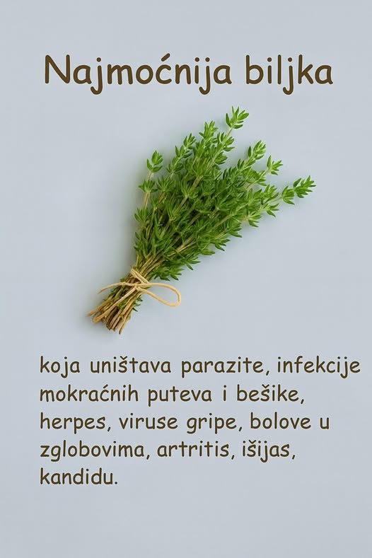 594356431_10229843139812887_1686424191074250361_n