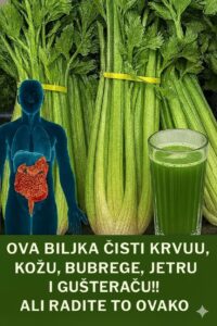 597788036_122158206872694359_7629607721503882509_n