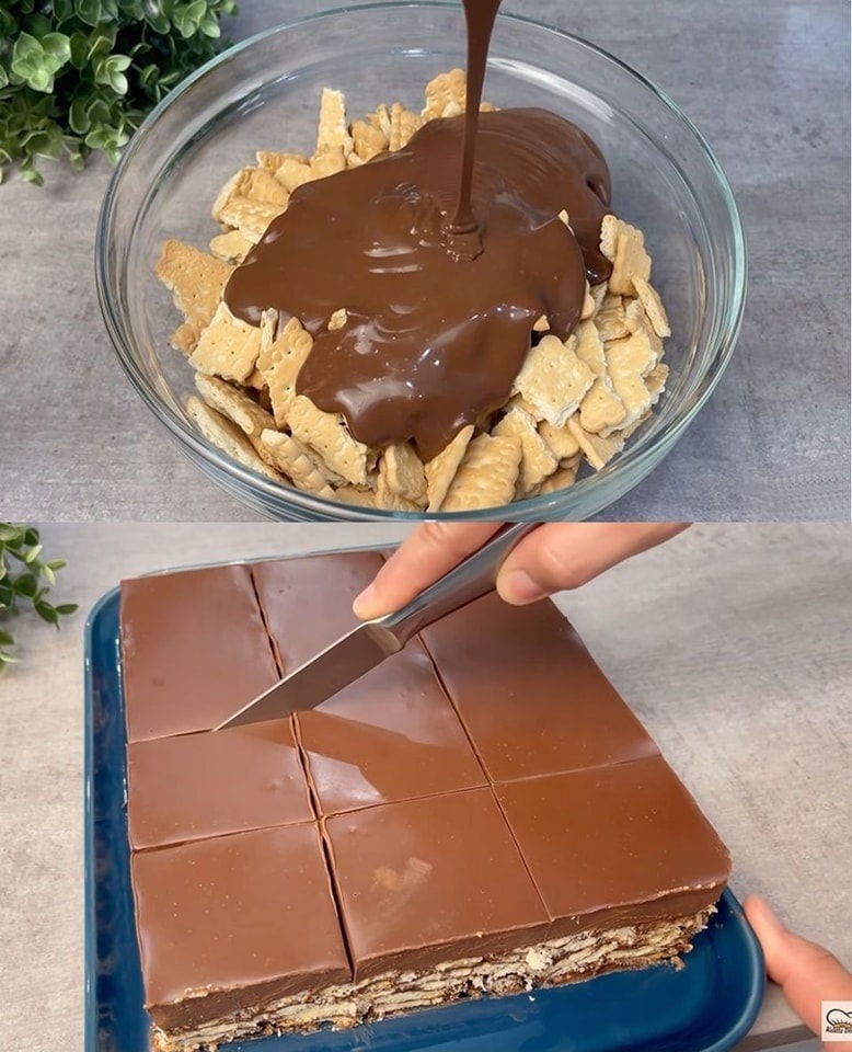 611988513_10230205348067867_3352273491336696163_n