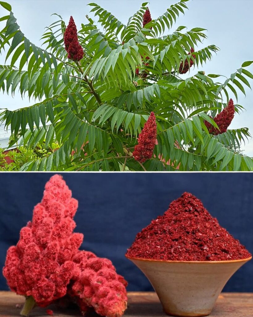 616355034_10230317367028271_4372176446128716195_n