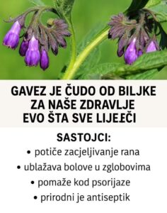 622810912_10230429550792795_1627386010729515588_n