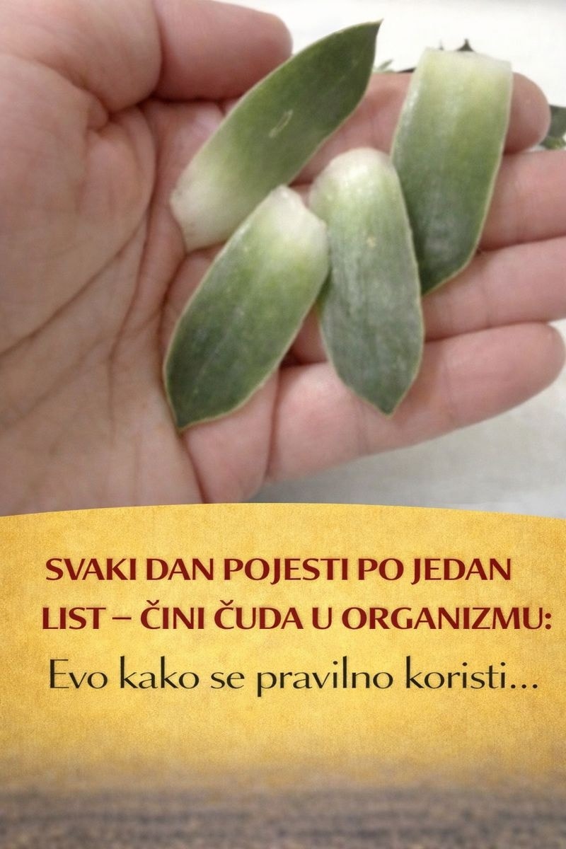 623709637_10230445886081167_1093266893089429884_n