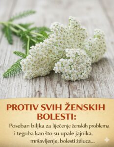 625186451_10230481469290725_136194777990431743_n