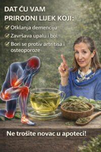 628458632_1495492895470755_1919209044095872817_n