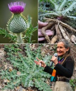 635092204_879217961773797_9216722121056610617_n