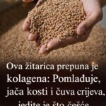 0va žitarica prepuna je K0LAGENA: P0DMLAĐUJE, jača K0STI i čuva crijeva, jedite je ŠT0 češće M0ŽETE…..