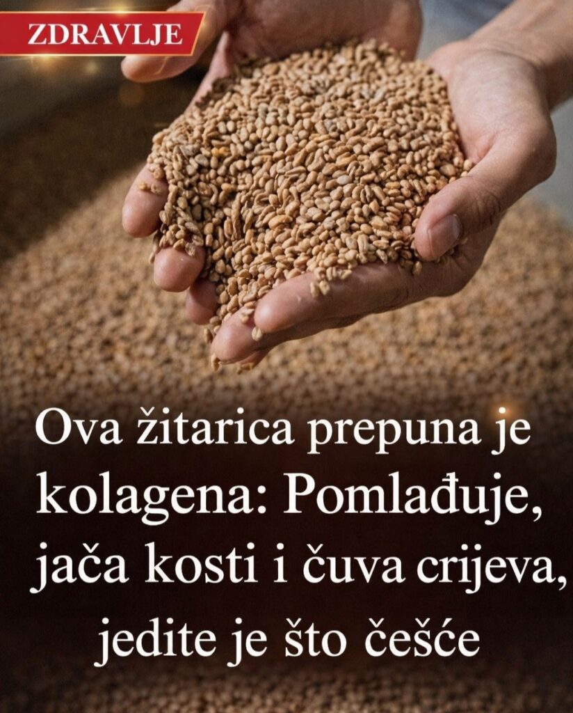 638081143_10230679367878066_2219522170802415618_n