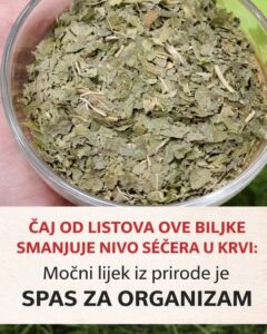 640752631_122182743302435682_3648071879311164040_n