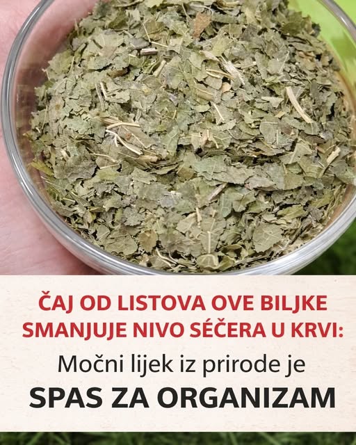 640752631_122182743302435682_3648071879311164040_n