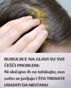 641464456_122182779260435682_6378372609315006484_n