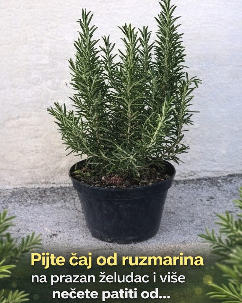 643312971_1470424884444924_2190055223567537650_n