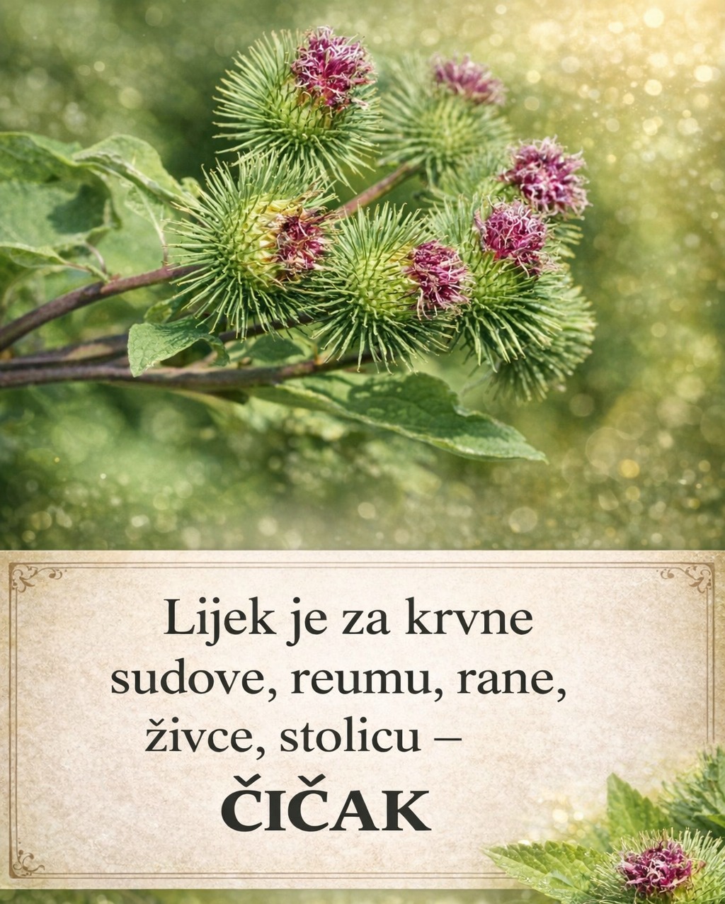 643905186_1326670092827491_3928553773912305936_n