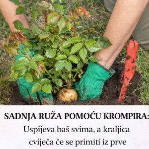 643946490_1393505146129119_2912336765070348650_n