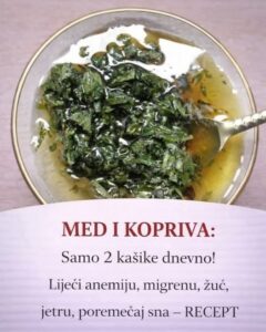 644051901_1239779794943205_8951458158020091971_n