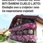 BALKON I TERASA ĆE VAM BITI ŠARENI CIJELO LJETO:Dodajte ovo u cvijeće i ono će neprestano cvjetati