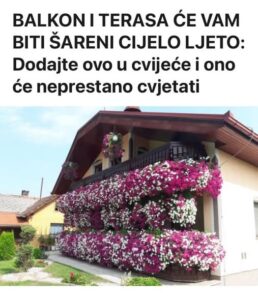 645429673_922171823772811_7828558051159794000_n