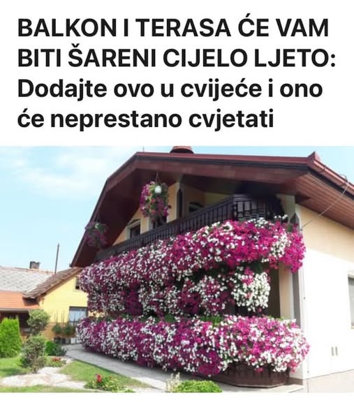 645429673_922171823772811_7828558051159794000_n