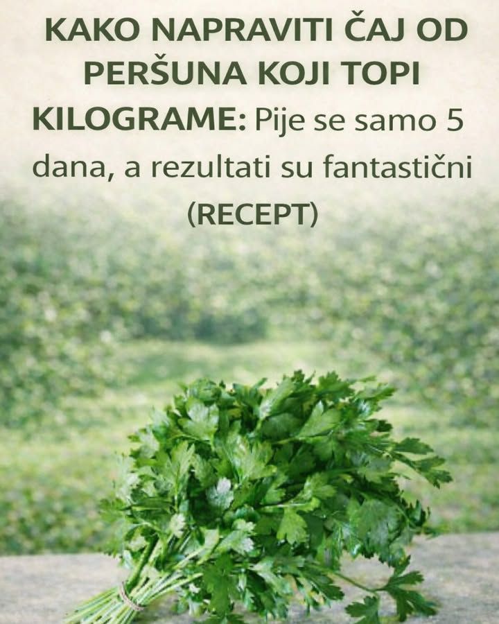 645750485_122152228712729269_1600435000818006428_n